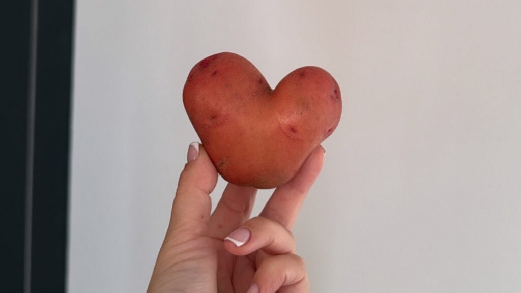 Come coltivare patate abbondanti: il segreto del taglio primaverile